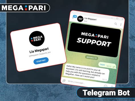 megapari support